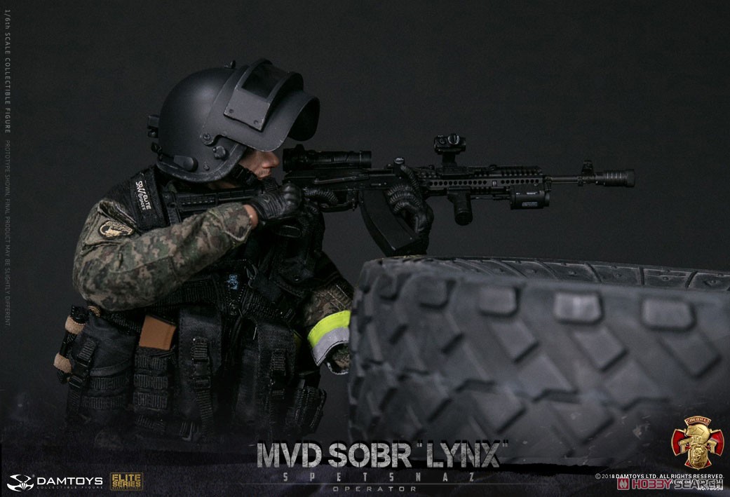 Damtoys 78058 Russian Spetsnaz MVD SOBR LYNX 1/6 Figure (Fashion Doll) Item picture16