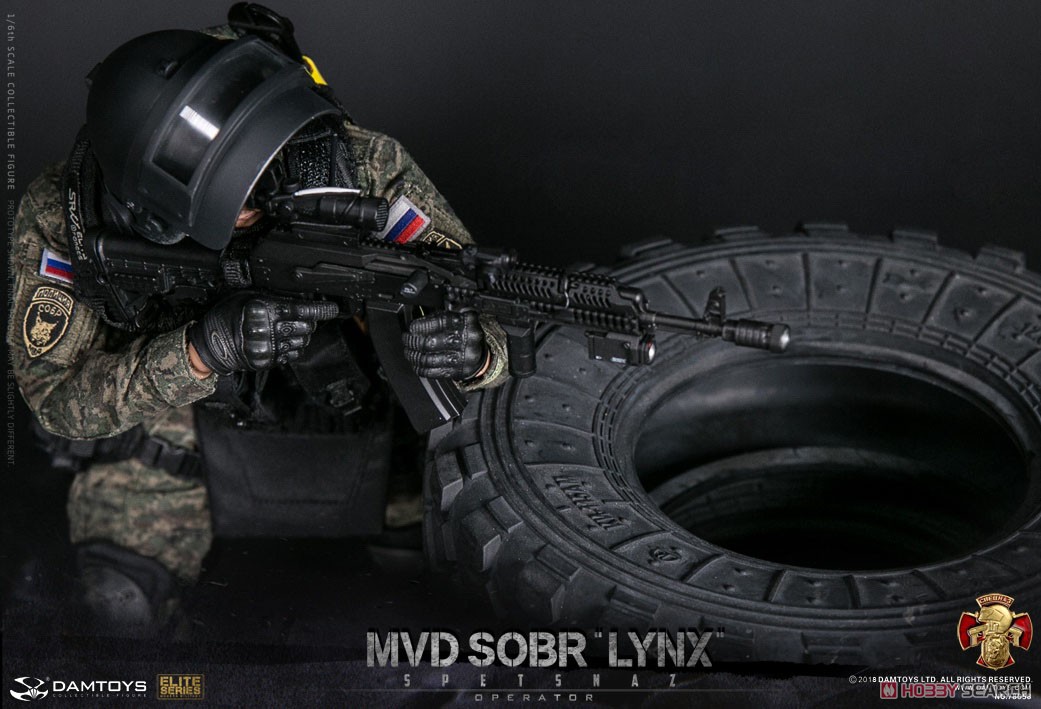 Damtoys 78058 Russian Spetsnaz MVD SOBR LYNX 1/6 Figure (Fashion Doll) Item picture17