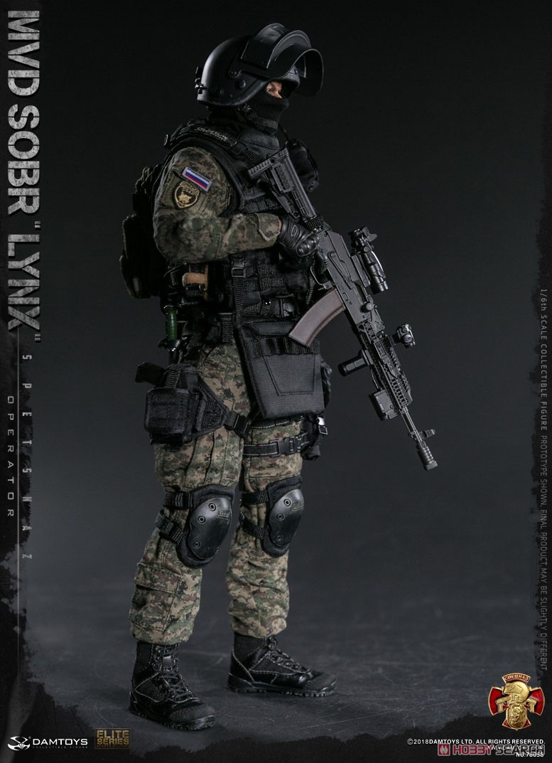 Damtoys 78058 Russian Spetsnaz MVD SOBR LYNX 1/6 Figure (Fashion Doll) Item picture19