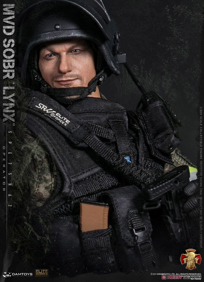 Damtoys 78058 Russian Spetsnaz MVD SOBR LYNX 1/6 Figure (Fashion Doll) Other picture11