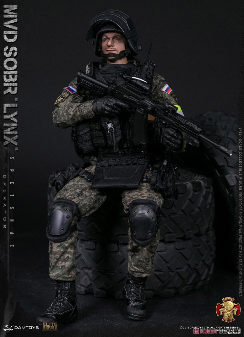 Damtoys 78058 Russian Spetsnaz MVD SOBR LYNX 1/6 Figure (Fashion Doll) Other picture6