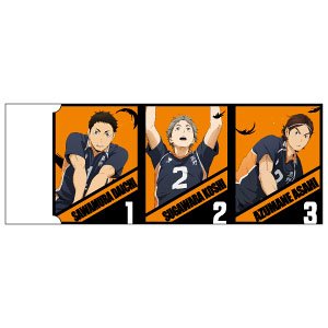 [Haikyu!!] Radar Eraser Karasuno 3rd Graders (Anime Toy)