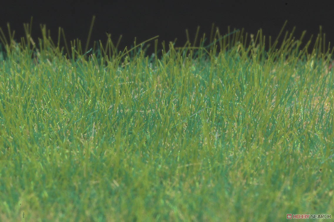 草地用パイル・ 定番・日本の夏草ミックス (パイル長4.0mm) (鉄道模型) 商品画像2