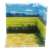 Dioramansion 150: Rapeseed Flower Field (Anime Toy) Item picture2