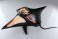 3D Puzzle 4D VISION Zootomy No.30 Manta Ray Anatomy Model (Plastic model) 商品画像10 Thumbnail