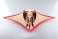 3D Puzzle 4D VISION Zootomy No.30 Manta Ray Anatomy Model (Plastic model) 商品画像11 Thumbnail
