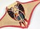 3D Puzzle 4D VISION Zootomy No.30 Manta Ray Anatomy Model (Plastic model) 商品画像3 Thumbnail