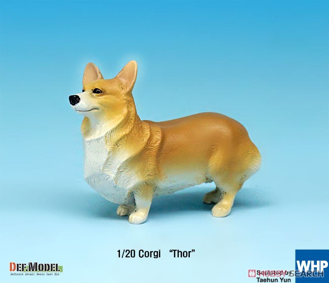 コーギー犬`トール` (プラモデル) 商品画像2