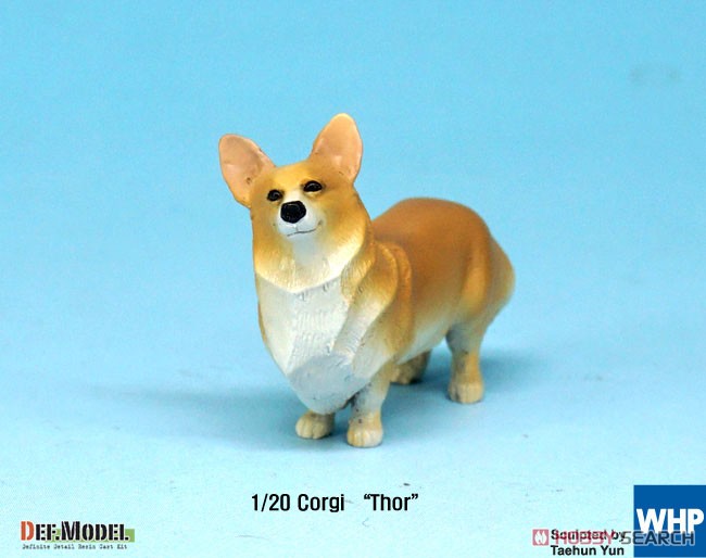 コーギー犬`トール` (プラモデル) 商品画像3