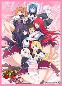Chara Sleeve Collection Mat Series High School DxD Hero (No.MT495) (Card Sleeve)
