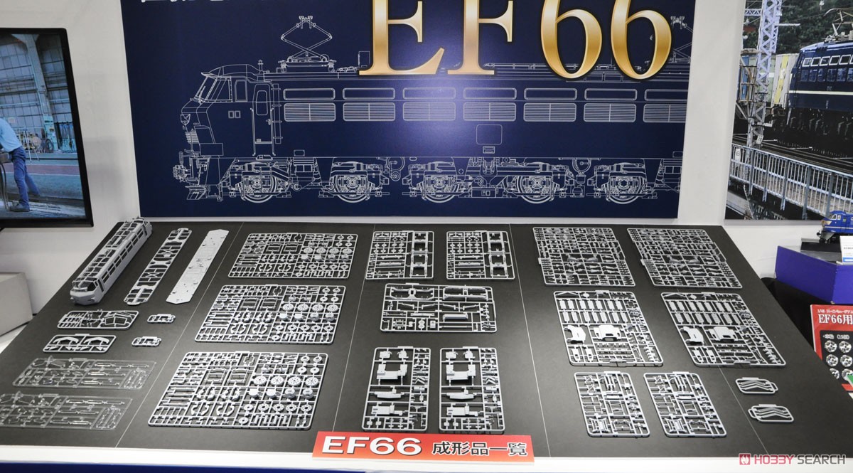 電気機関車 EF66 後期型 (プラモデル) その他の画像5