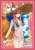 ブロッコリーキャラクタースリーブ Fate/EXTELLA LINK 「玉藻の前」 ビーチフラワーVer. (カードスリーブ) 商品画像1
