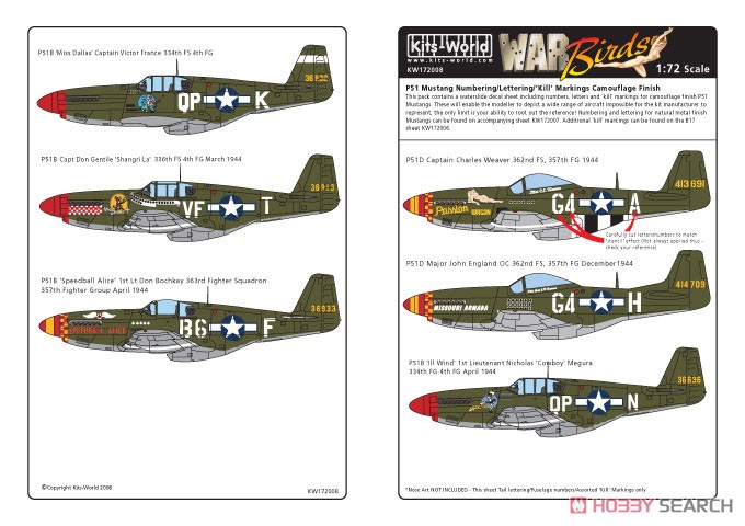 WW.II P-51 マスタング 汎用レター&ナンバーデカール (迷彩塗装機体用) 塗装1