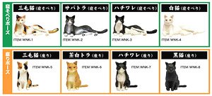 Japanese Cats BOX (Set of 10) (Fashion Doll)