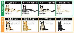 和ねこ BOX (24個入り) (ドール)