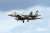 航空自衛隊 F-15Jイーグル 第303飛行隊 2018 小松基地航空祭 記念塗装機 ファイティング・ドラゴン (プラモデル) その他の画像7