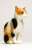 Japanese Cats Calico Cat (Sitting) (Fashion Doll) Item picture4