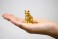 Japanese Cats Red Tabby (Sitting) (Fashion Doll) 商品画像5 Thumbnail