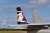 航空自衛隊 F-15Jイーグル 第306飛行隊 2018 小松基地航空祭 記念塗装機 `勧進帳` (プラモデル) その他の画像7