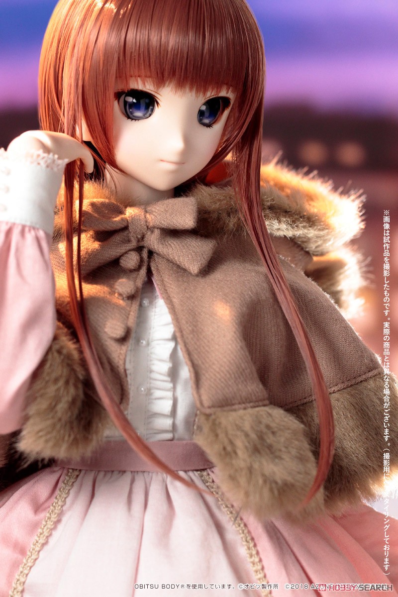 50cm Original Doll Iris Collect Rino / Lovely Snows (Fashion Doll) Other picture4