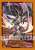 ブシロードスリーブコレクションミニ Vol.369 カードファイト!! ヴァンガード 『レーブンヘアードエイゼル』 (カードスリーブ) 商品画像1