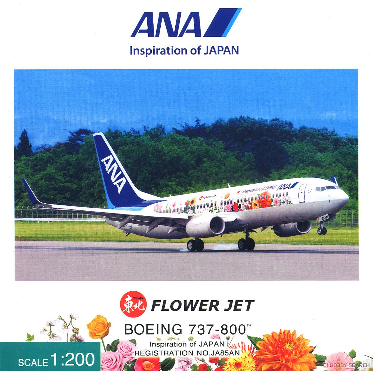 737-800 JA85AN 東北FLOWER JET (完成品飛行機) パッケージ1