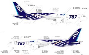 787-8 JA801A 特別塗装 (完成品飛行機)