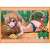 Chara Sleeve Collection Deluxe [Toradora! Part.1] (No.DX023) (Card Sleeve) Item picture1