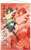 閃乱カグラ SHINOVI MASTER -東京妖魔篇- B2タペストリー 飛鳥 (キャラクターグッズ) 商品画像1