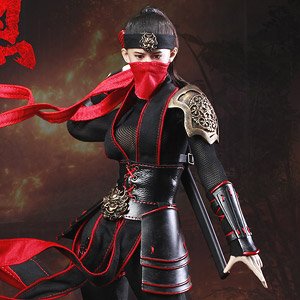 Female Ninja (Fashion Doll)