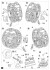 Kugelpanzer41(r). Interior Kit (Plastic model) 設計図3 Modal Thumbnail