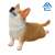 ANIMAL LIFE Baby Yoga Dog (8個セット) (キャラクターグッズ) 商品画像3