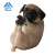 ANIMAL LIFE Baby Yoga Dog (8個セット) (キャラクターグッズ) 商品画像5