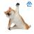 ANIMAL LIFE Baby Yoga Dog (8個セット) (キャラクターグッズ) 商品画像1