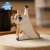 ANIMAL LIFE Baby Yoga Dog (8個セット) (キャラクターグッズ) その他の画像1