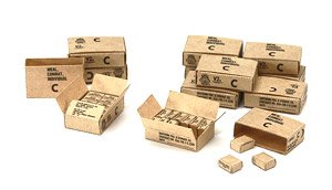 US MCI Cartons (Plastic model)