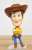 Nendoroid Woody: DX Ver. (Completed) Other picture5