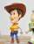 Nendoroid Woody: DX Ver. (Completed) Other picture6
