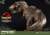 プライムコレクタブルフィギュア/ ジュラシック・パーク: ティラノサウルス・レックス 1/38 PVC スタチュー PCFJP-01 (完成品) 商品画像7