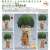 Nendoroid Shintaro Midorima (PVC Figure) Item picture6