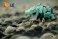 BeastBox BB-07 Behemoth Original (Character Toy) その他の画像4 Thumbnail