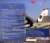 EA-18G グラウラー `VAQ-141 シャドーホークス 厚木基地 2017` (完成品飛行機) 英語解説1