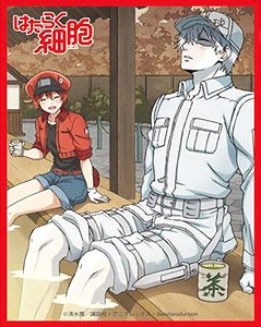 Chara Sleeve Collection Mat Series [Cells at Work!] Red Blood Cell & White Blood Cell (No.MT576) (Card Sleeve)