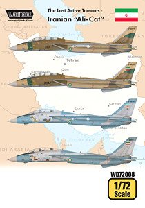 トムキャット最後の稼働機 イラン アリキャット デカール (F-14A) (デカール)
