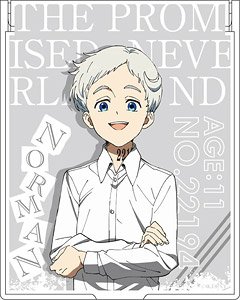 The Promised Neverland Mirror Norman (Anime Toy) - HobbySearch Anime Goods  Store