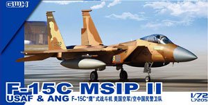 F-15C MSIPII USAF & ANG (Plastic model)