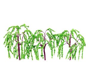 [memory`s] Willow (50mm) (3 Pieces) (Model Train)