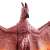 Movie Monster Series Rodan (2019) (Character Toy) Item picture2