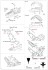 Tornado F.3 ADV Limited Editon (Plastic model) 設計図4 Modal Thumbnail