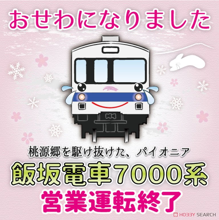 鉄道コレクション 福島交通 さようなら7000系 (2両セット) (鉄道模型) その他の画像2